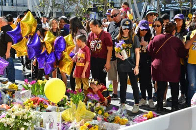 DSC_7205 (Large).JPG